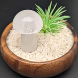 Quartz Mushroom~CRQTMSRM