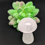 Quartz Mushroom~CRQTMSRM