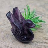 Purple Fluorite Swan~ CRPFLSWN
