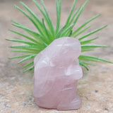 Rose Quartz Rabbit~CRRQRABB