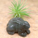 Moss Agate Frog~CRMAFROG