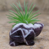 Chevron Amethyst Turtle~CRCATURT