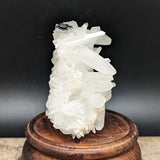 Hubnerite on Quartz Cluster~CRHUBQTZ