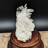 Hubnerite on Quartz Cluster~CRHUBQTZ