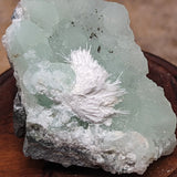 Natrolite on Prehnite Specimen~CRNATPRE