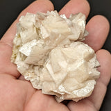 Dolomite Specimen~CRDOLOMI