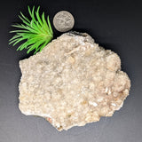Heulandite on Quartz~CRHEUQT1