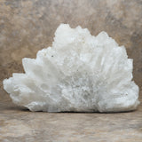 Spirit Quartz Crystal Cluster~CRSQCCIM