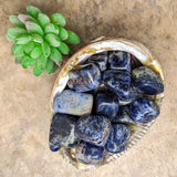 Sodalite Tumbled~TUMSODAL