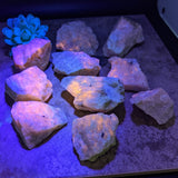 Hackmanite Large Rough- CRFHACKL