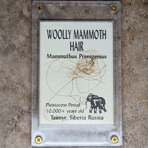 Wooly Mammoth Hair~CRFWMAMH