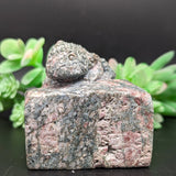 Unakite Lizard Carving~ CRULCAR2