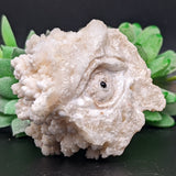 White Aragonite Eye Carving~CRWAEYEC