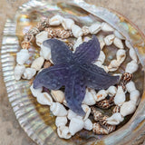 Fluorite Starfish~ CRFLSTRS