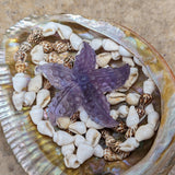 Fluorite Starfish~ CRFLSTRS