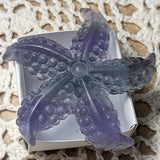 Fluorite Starfish~ CRFLSTRS