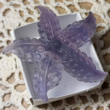 Fluorite Starfish~ CRFLSTRS