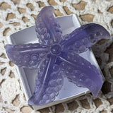 Fluorite Starfish~ CRFLSTRS
