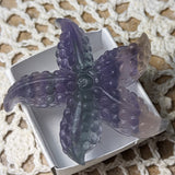 Fluorite Starfish~ CRFLSTRS