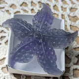 Fluorite Starfish~ CRFLSTRS