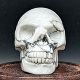 Howlite Skull~CRHSKULL