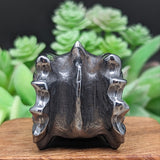 Silicon Dragon Skull Carving~CRSDSC01