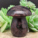 Garnet in Arfvedsonite Mushroom Carving~CRGARFMM