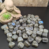 Labradourite Tumbled~TUMLABRD
