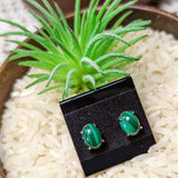 Malachite Post Earrings-Oval~JSSMLOE2