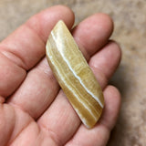 Yellow Calcite Palm Stone~CRYCPS01