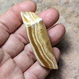 Yellow Calcite Palm Stone~CRYCPS06