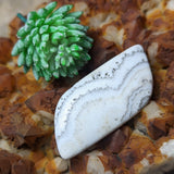 Dendritic Yellow Calcite Palm Stone~CRDYCP02