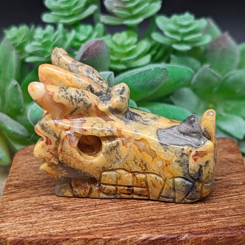 Lace Agate Dragon Skull~CRMCLADS