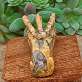 Lace Agate Dragon Skull~CRMCLADS