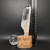 Polished Quartz Crystal in Wood Stand~CRQCWS30