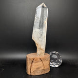 Polished Quartz Crystal in Wood Stand~CRQCWS30
