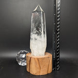 Polished Quartz Crystal in Wood Stand~CRQCWS31