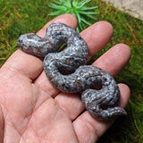 Emberlite Snake~CREMBSNK