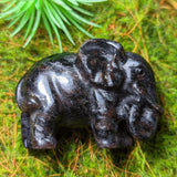 Garnet in Arfvedsonite Elephant~CRGAELE2