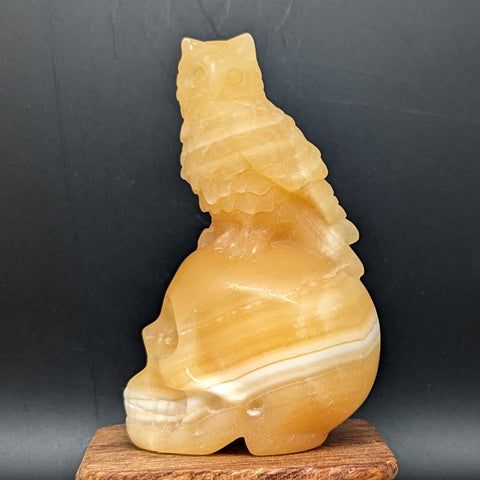 Yellow Calcite "Owl on Skull" Carving~CRYCOOSC
