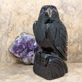 Black Onyx Raven Carving~CRBORAVL