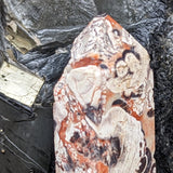 Mushroom Rhyolite Generator~CRMYAG04