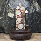 Mushroom Rhyolite Generator~CRMYAG08