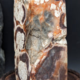 Mushroom Rhyolite Generator~CRMYAG08
