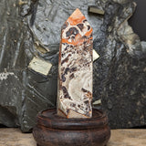 Mushroom Rhyolite Generator~CRMYAG10