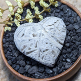 White Lace Agate Heart~CRWLAH04