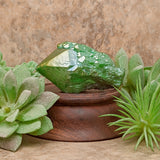 Gaia Aura Crystal~CRGAQZ01