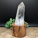 Quartz Crystal in Wood Stand~CRQCWS01