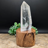 Quartz Crystal in Wood Stand~CRQCWS01