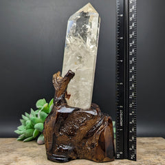 Quartz Crystal in Wood Branch Stand~CRQCWS03
